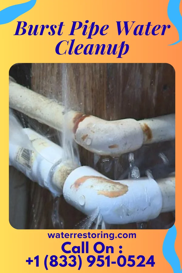 Burst Pipe Water Cleanup in Red Creek, NY