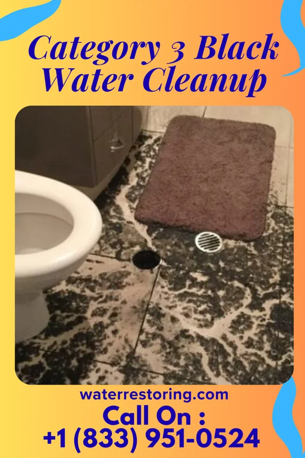 Category 3 Black Water Cleanup in Red Creek, NY