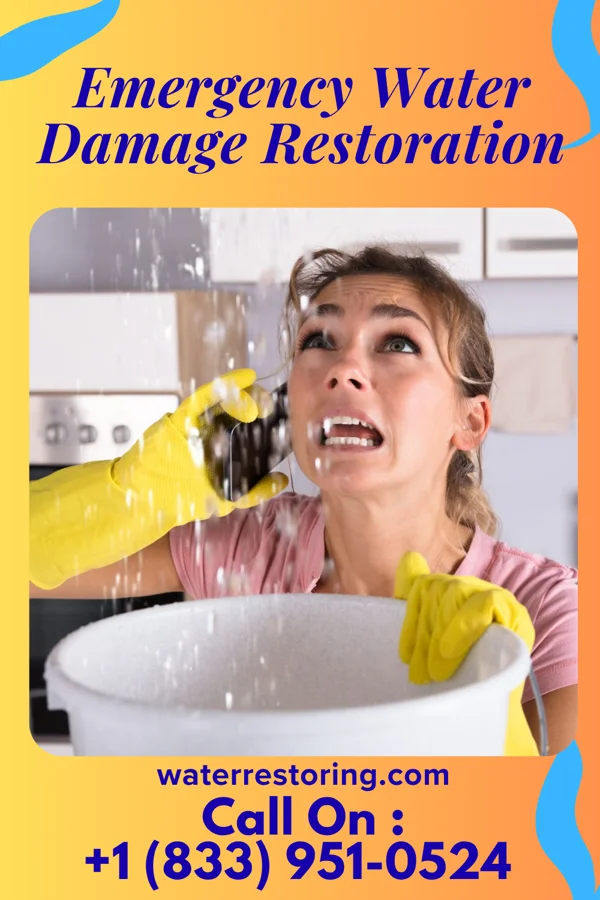 Emergency Water Damage Restoration in Red Creek, NY