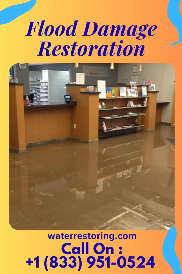 Flood Damage Restoration in Red Creek, NY