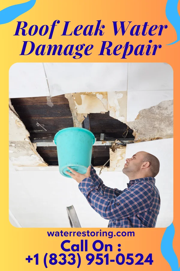 Roof Leak Water Damage Repair in Red Creek, NY