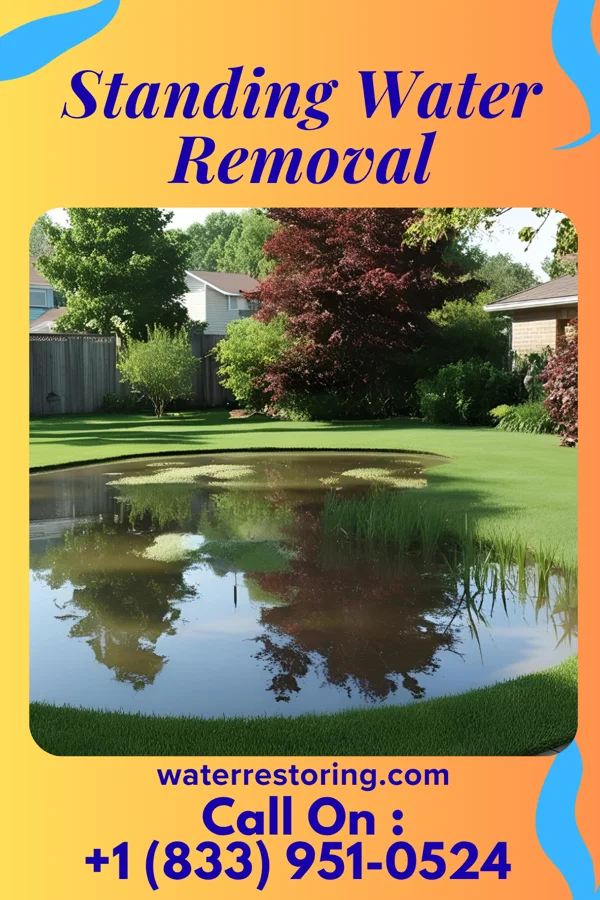 Standing Water Removal in Red Creek, NY